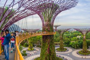 gardens by the bay singapore