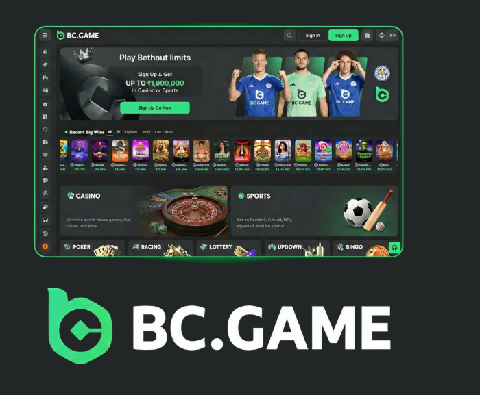 Exploring the BC.Game Platform A Comprehensive Review